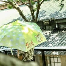 【漫遊台灣 X 三麗鷗】布丁狗 雨傘(台灣)+行李箱貼紙(總統府)