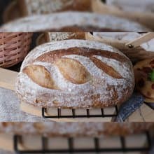 德國 酸種麵包 天然發酵 腸胃友善 無油無糖 無添加