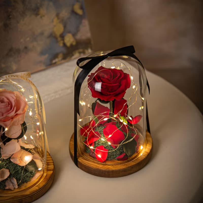 【唯一】美女與野獸 永生花紅玫瑰 玻璃罩 夜燈 /情人節 生日紀念