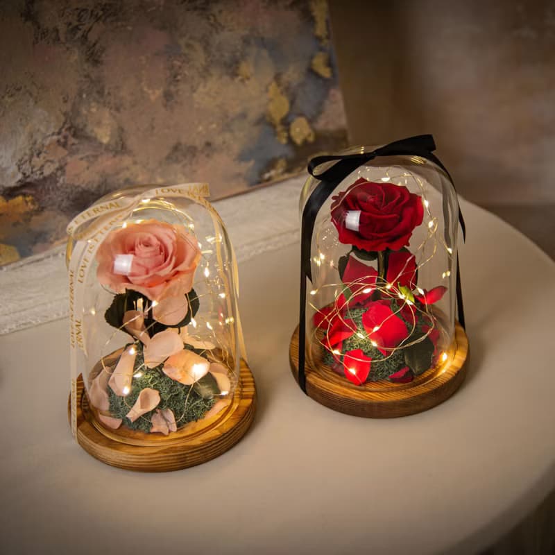 【唯一】美女與野獸 永生花紅玫瑰 玻璃罩 夜燈 /情人節 生日紀念