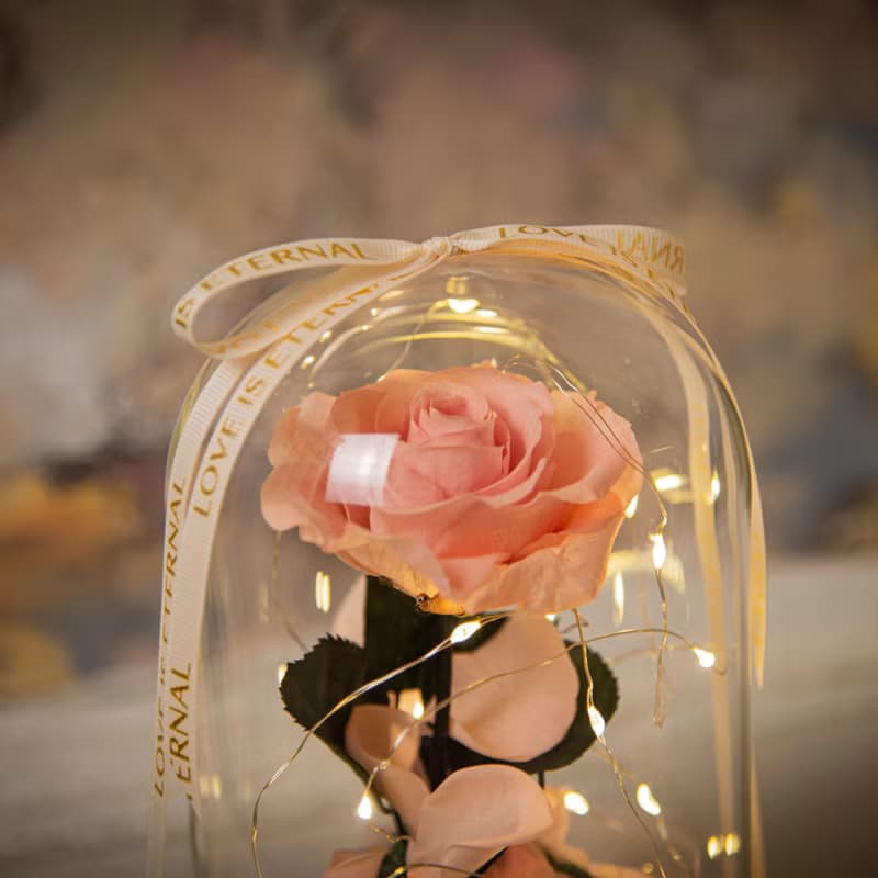 【唯一】美女與野獸 永生花紅玫瑰 玻璃罩 夜燈 /情人節 生日紀念