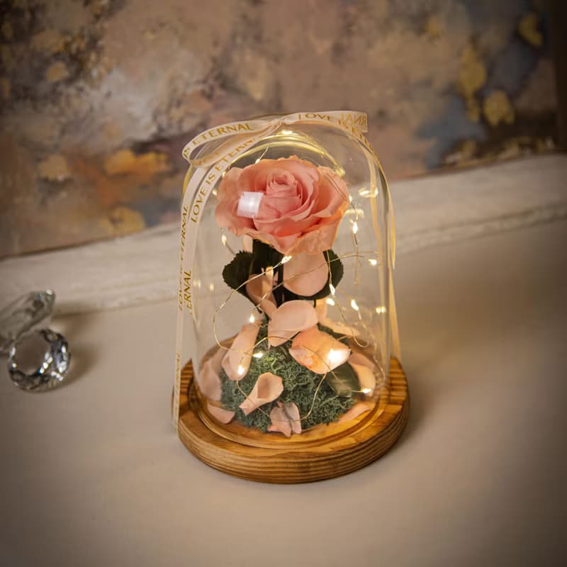 【唯一】美女與野獸 永生花紅玫瑰 玻璃罩 夜燈 /情人節 生日紀念