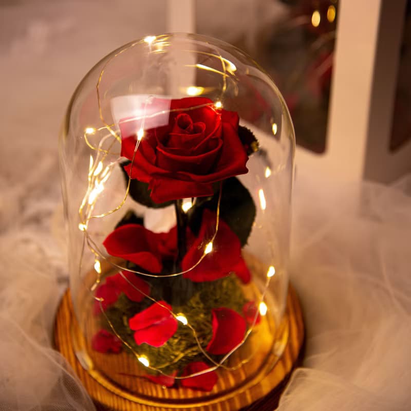 【唯一】美女與野獸 永生花紅玫瑰 玻璃罩 夜燈 /情人節 生日紀念