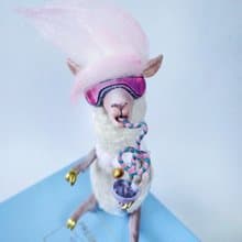 Lama art doll collectible toy