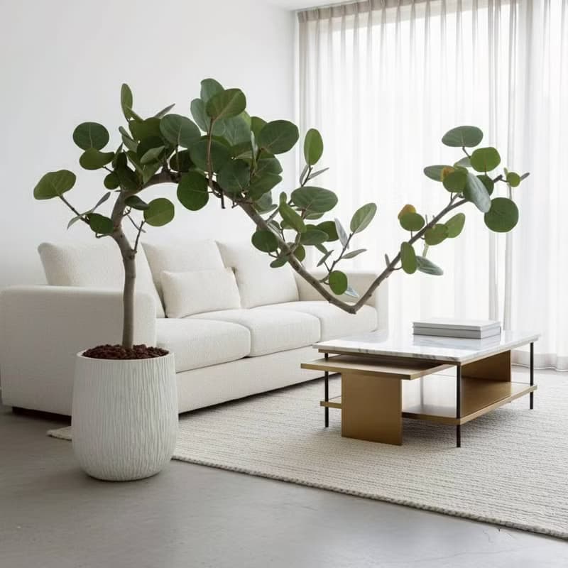 海葡萄 奶白色樹紋落地大盆栽 開幕花盆 觀葉植物 居家裝飾