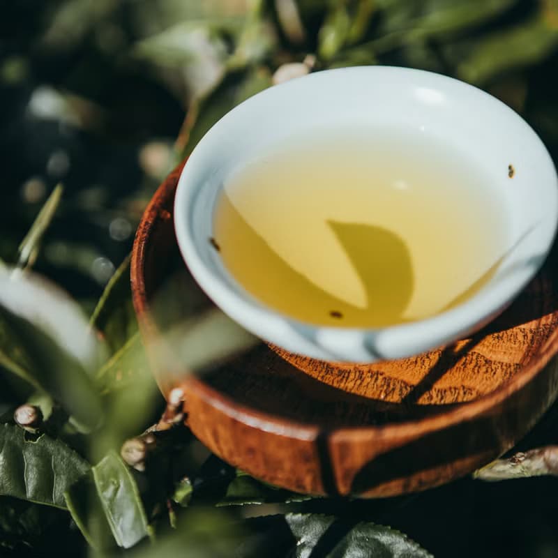 【台灣茶葉】綜合茶包 自然農法 |  南投純淨好茶 3款茶各4包
