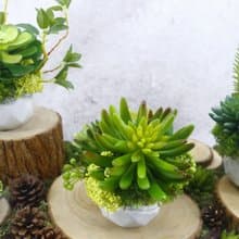 手指蓮多肉香氛植栽/擬真植物/人造盆栽/綠化/佈置/禮物