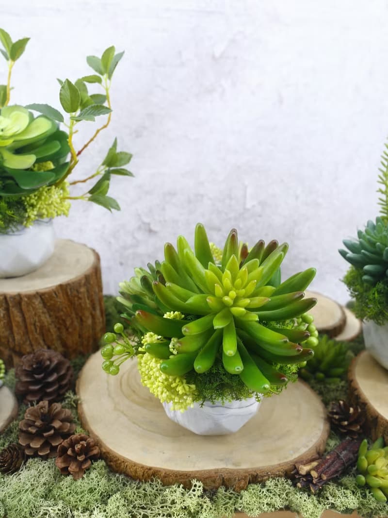 手指蓮多肉香氛植栽/擬真植物/人造盆栽/綠化/佈置/禮物