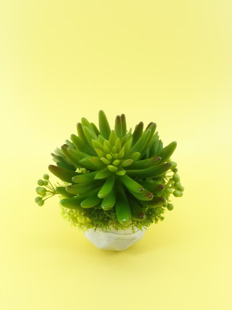 手指蓮多肉香氛植栽/擬真植物/人造盆栽/綠化/佈置/禮物