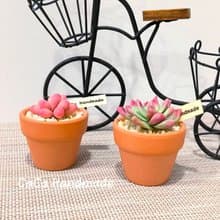 【體驗】花蓮手作體驗石膏捏塑可愛多肉迷你盆栽DIY-小班製
