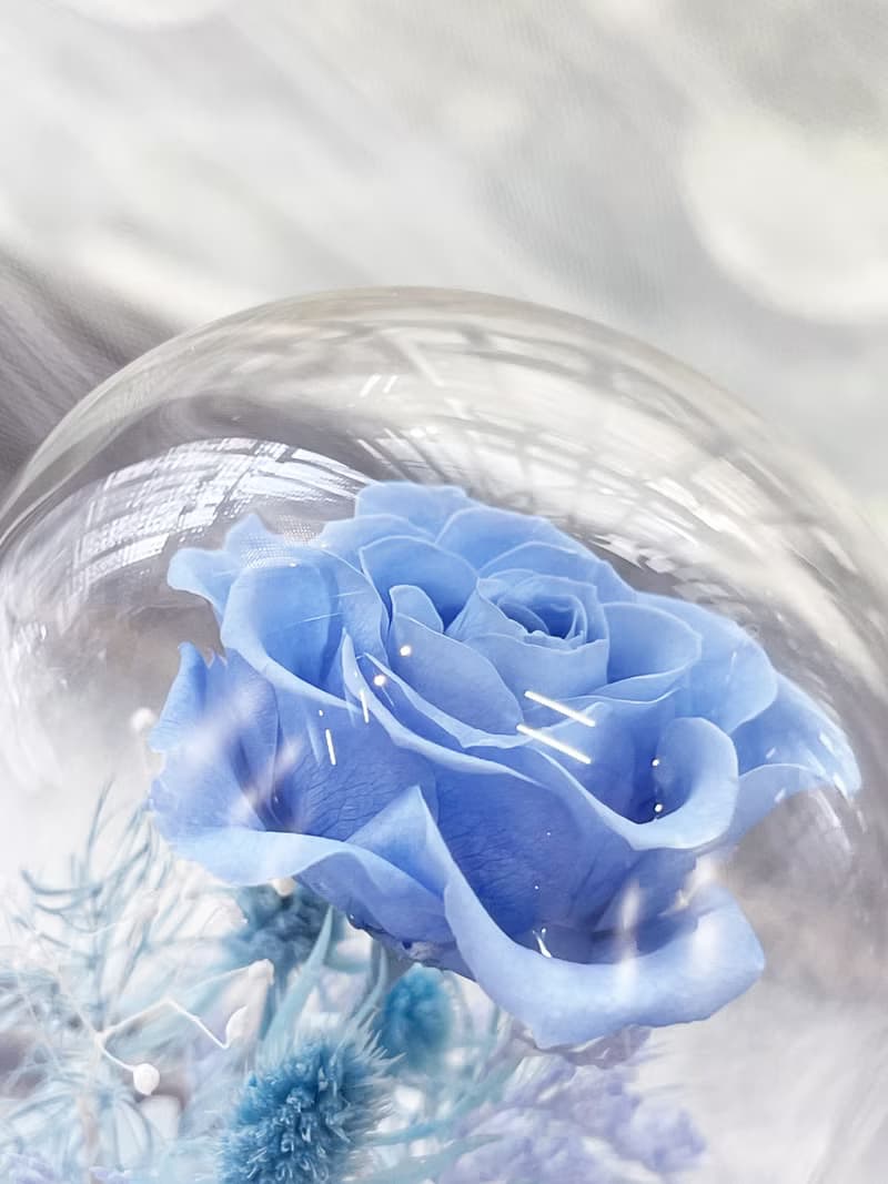 Rosemary小小花園玻璃罩-COLORFUL   永生花/情人節/生日/畢業禮
