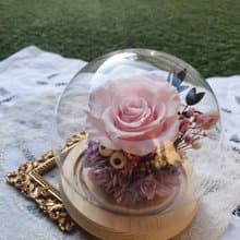 永生卡農玫瑰 戀愛粉 圓球發光玻璃罩