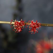 彼岸花のピアス/イヤリング