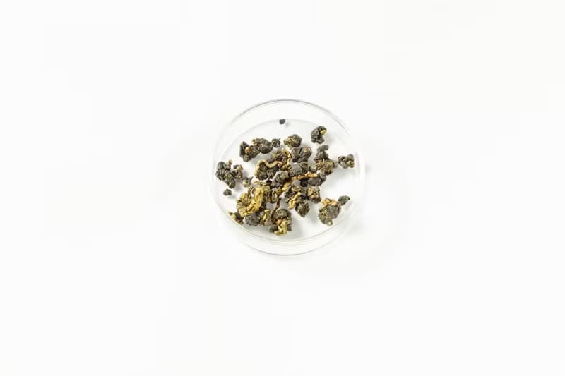 【Three Leafs Tea】高山烏龍茶