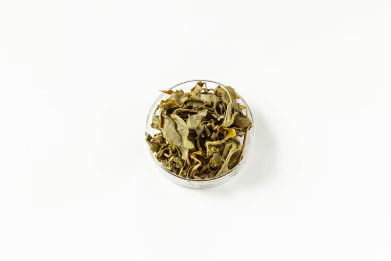 【Three Leafs Tea】高山烏龍茶