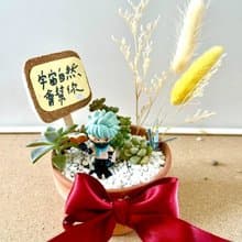 台中多肉組盆 多肉植物 日式枯山水 微景觀系列 火影忍者 卡卡西