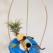 空鳳架 掛架 漂浮游泳圈 空間佈置 交換 畢業禮物(含植物)