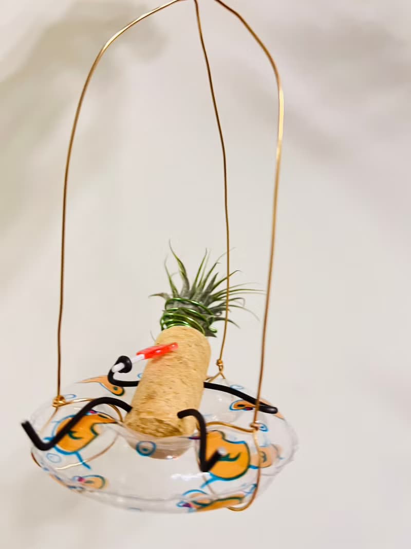 空鳳架 掛架 漂浮游泳圈 空間佈置 交換 畢業禮物(含植物)
