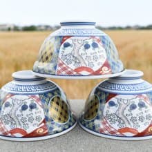 【經典日貨】日本 佐賀 有田 有田燒 陶瓷碗 飯碗 大碗 拉麵碗