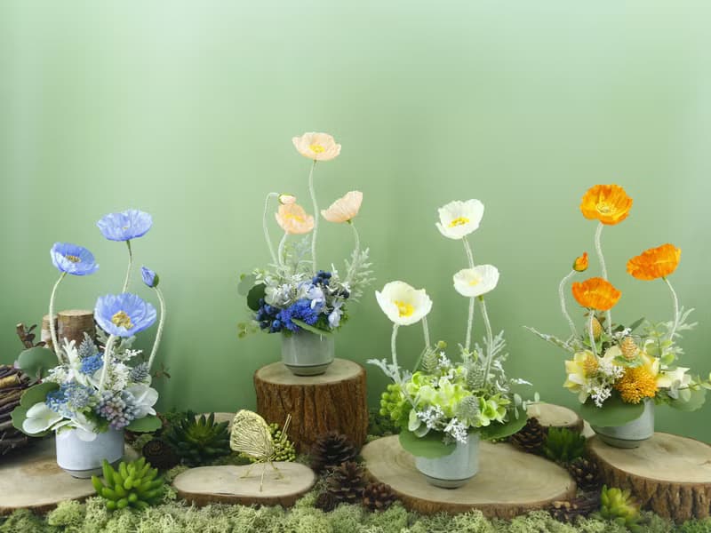 恆久祝福白美人香氛花禮/入厝禮/開幕/喬遷/送禮/植栽