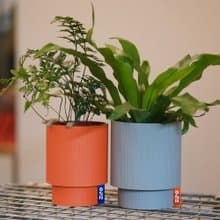 ONF 3D Print Planter - Stripe Duo Set- 3D列印盆器 直條雙盆組