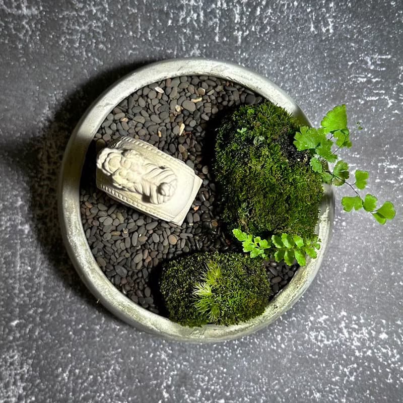 自然苔玉美學 –門當