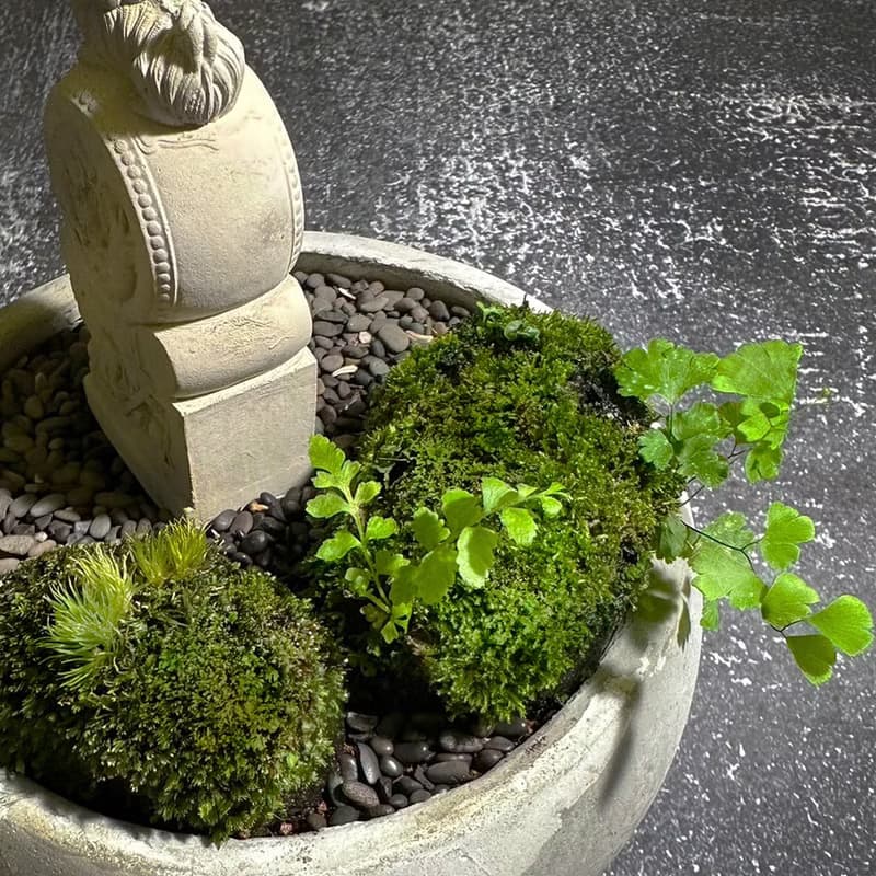 自然苔玉美學 –門當