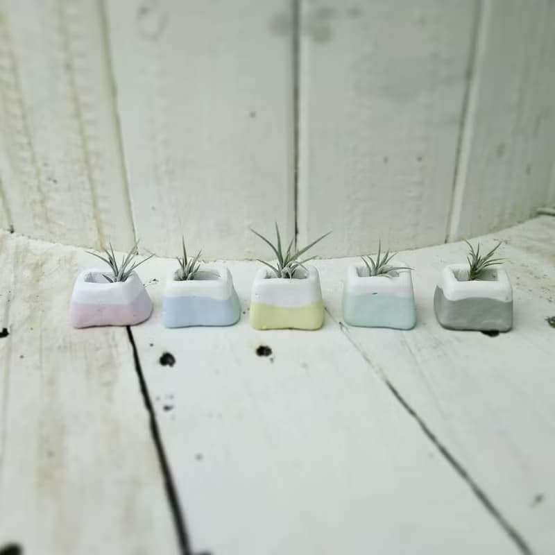 富士迷泥盆-磁鐵.盆栽.擴香石
