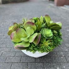 特級擬真唐印多肉植栽組合 免運專人配送限雙北市 其餘地區需補運