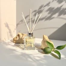 法國Prestige de Menton 檬田之香-檸檬 空間香氛 擴香瓶100ml
