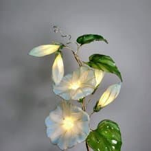 【誕生花燈】8月・牽牛花。小夜燈。生日禮物