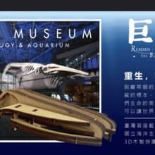 3D藍鯨骨骼拼圖