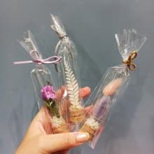 婚禮小物 植物標本  畢業小禮 試管花 禮物   二次進場