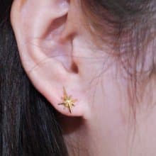 Polaris Earrings - Gold