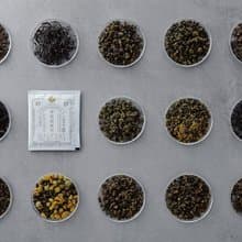 半日焙茶所【大份量 原葉 立體茶包】  自由選配 享受美好茶生活