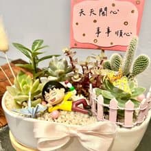 櫻桃小丸子 日式 台中多肉組盆 多肉植物 慶祝 生日 晉升 慶祝禮