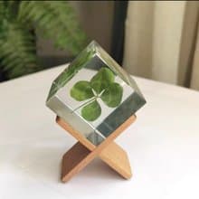 幸運草標本/真實的四葉草
