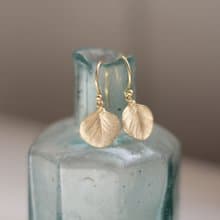 Eucalyptus earrings
