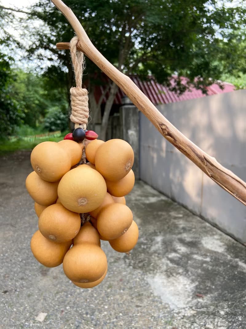 天然葫蘆掛飾/5層葫蘆/植物