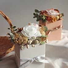 | 白衣天使 | 永生花 x 乾燥花 盆花 花藝 送禮 (附乾燥花小卡)