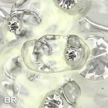 D-AB4 (Luminous)