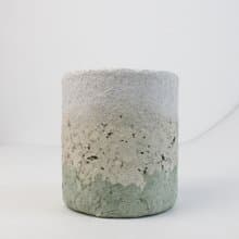 乾燥霓花盆－泡沫綠茶