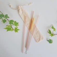 限時優惠-FunXinストロ放心生醫級環保吸管-透幻藕芋-單支