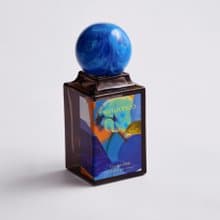 清新草本調-柚子、薄荷與天竺葵 : Creative Mind 50ml淡香精