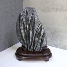 直角石化石座 直角石擺件