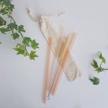 限時優惠-FunXinストロ放心生醫級環保吸管-透亮珊瑚-單支