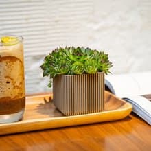 VerdeForm  3D列印極簡植栽盆器   小型花器 多肉盆栽 植物擺飾