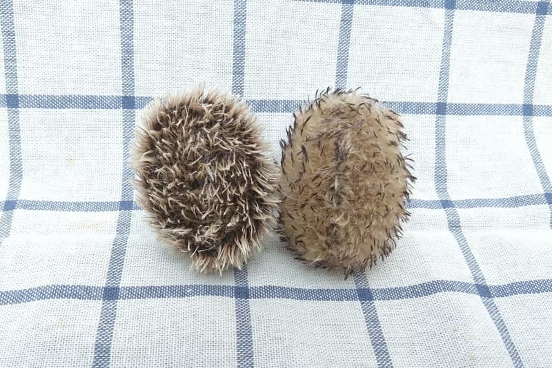 羊毛氈 動物 寵物 刺蝟 小物 禮物 紀念 睡覺款