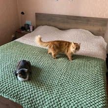 Kawaii blanket cozy throw blanket chenille bedspread, custom order