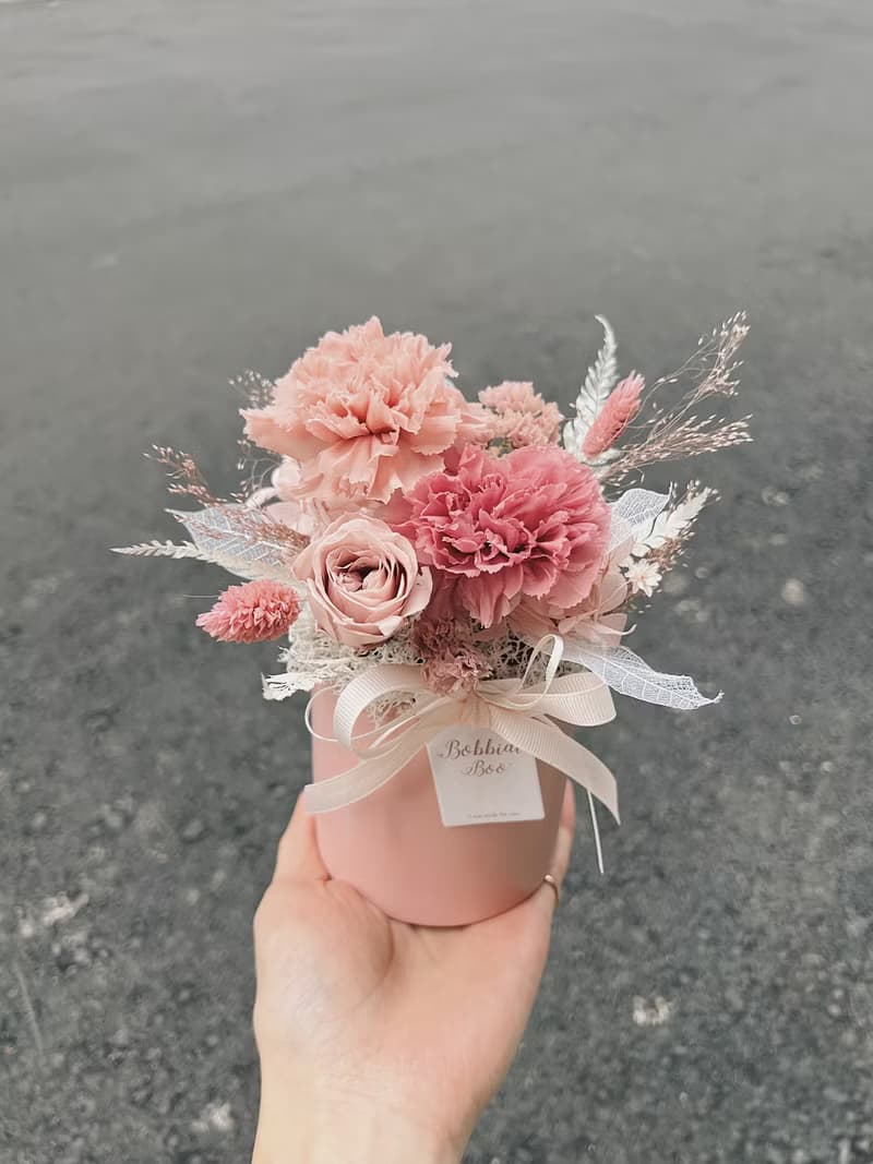 【永生康乃馨盆花】• 情人節禮物/生日禮物/永生花/永生玫瑰花